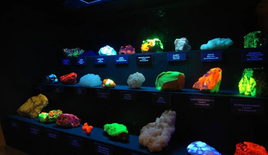 Las Vegas Natural History Museum, Nevada, USA